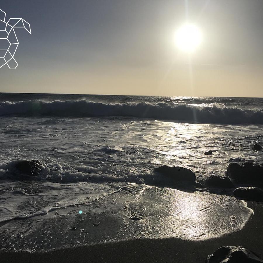 Caretta Caretta'S House Διαμέρισμα Los Llanos De Aridane Εξωτερικό φωτογραφία